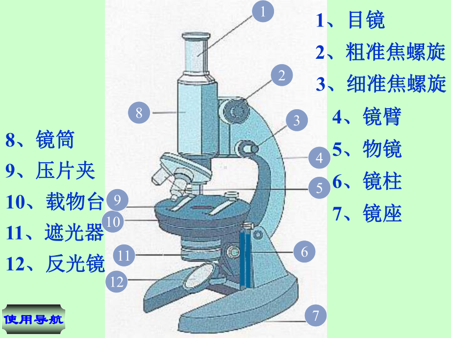 生物学的研究工具资料课件.ppt_第3页