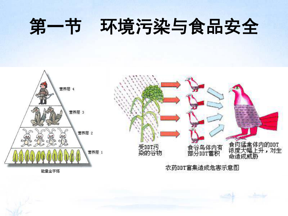 第三讲食品安全与品质管理课件.ppt_第2页