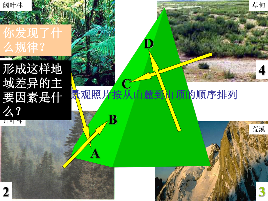 山地的垂直地域分异规律.课件.ppt_第2页