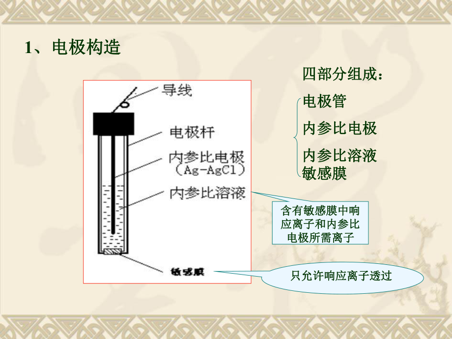 第三节离子选择性电极要点课件.ppt_第3页