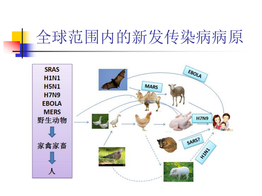 实验室生物安全政策介绍资料课件.ppt_第3页