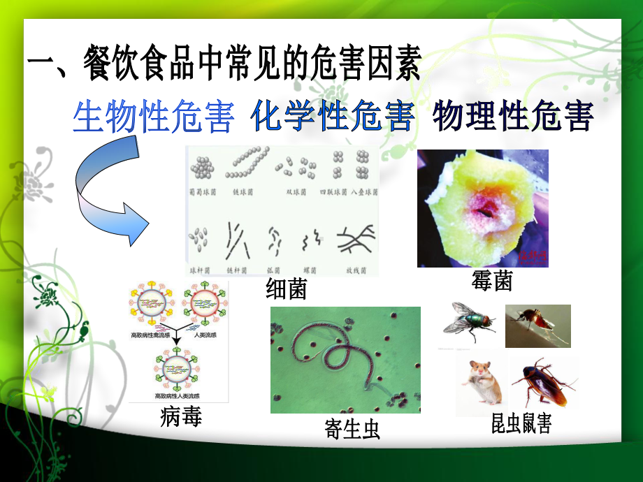 社区食品安全知识讲座资料课件.ppt_第3页