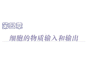 1渗透作用发生的条件课件.ppt