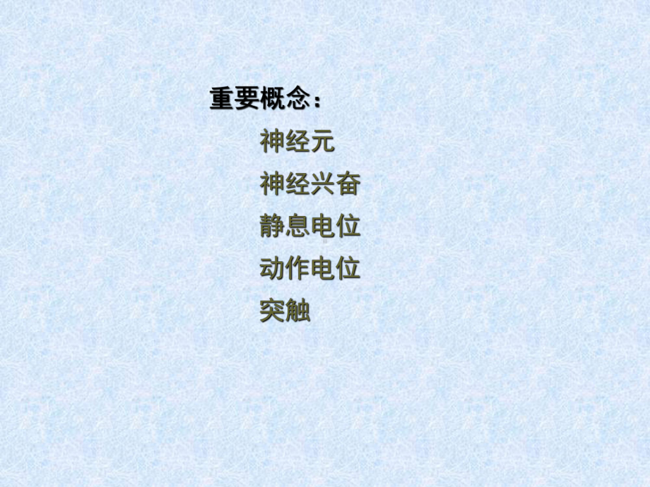 第二章心理的生理学基础课件.ppt_第3页