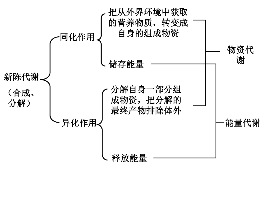 能量、蛋白质、脂类、碳水化合物(5-6)课件.ppt_第3页