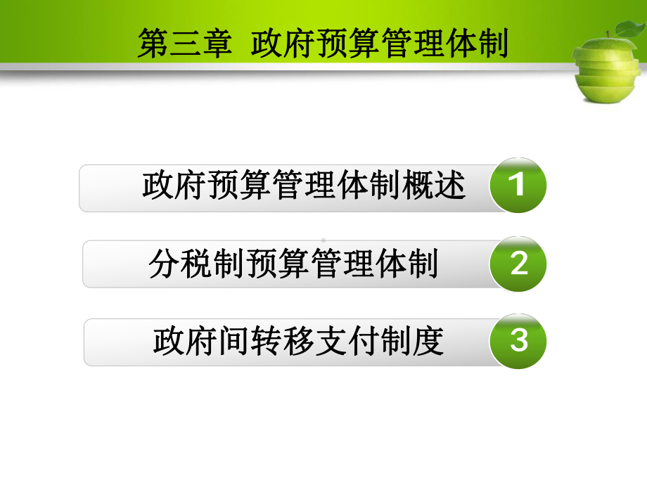 第三章-政府预算管理体制课件.ppt_第2页