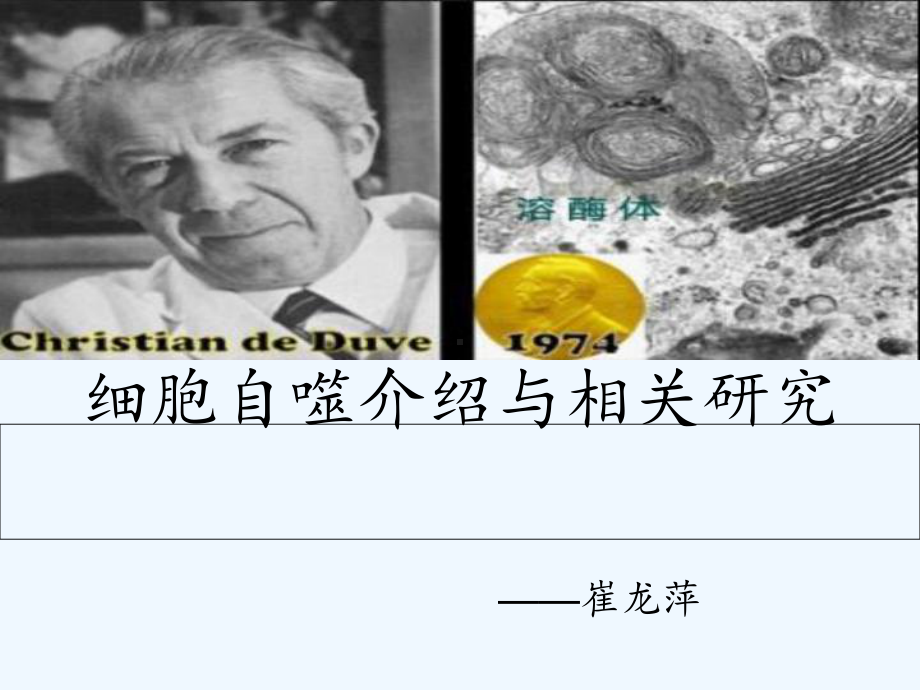 细胞自噬介绍与相关研究课件.ppt_第1页