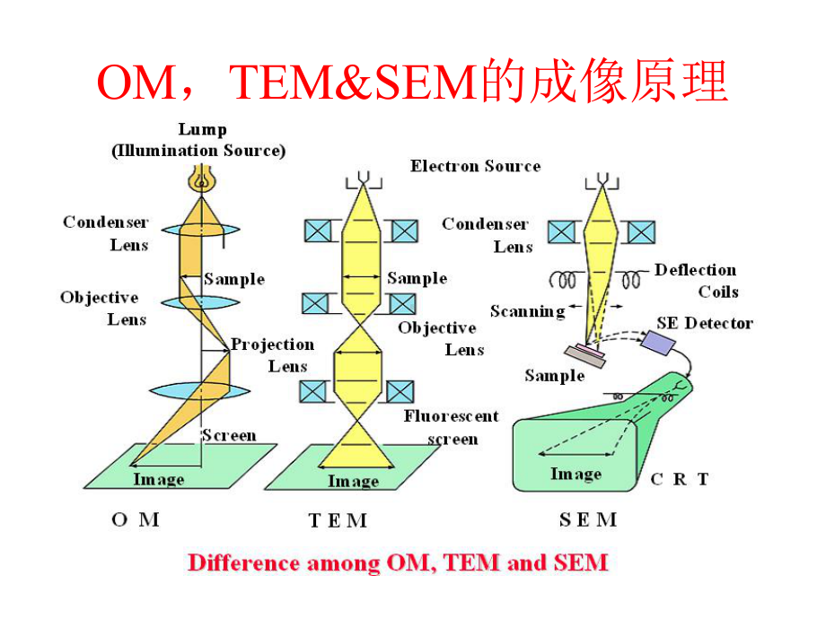 扫描式电子显微镜原理简介资料课件.ppt_第2页