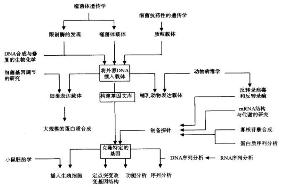 现代分子生物学技术课件.ppt_第3页