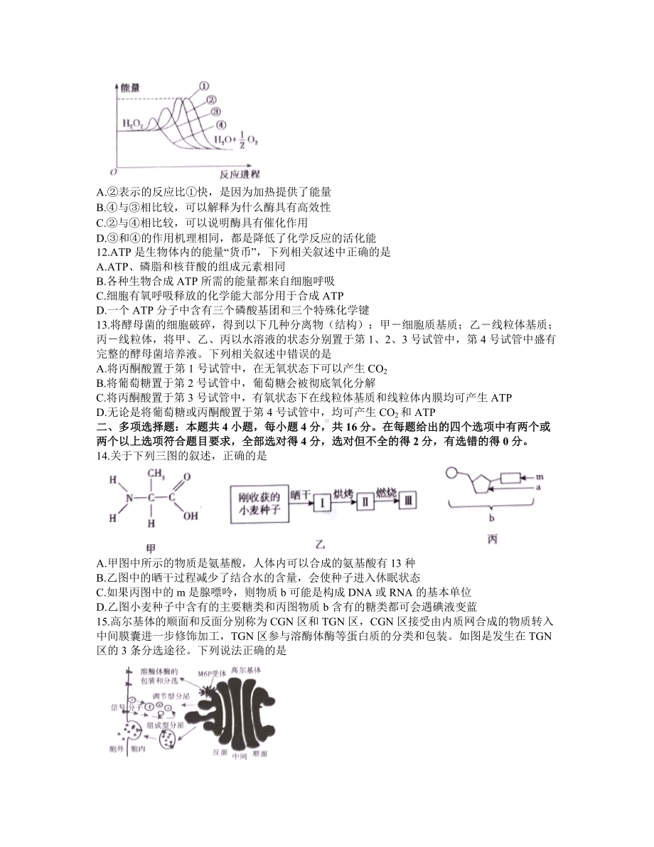 2021-2022学年安徽省池州市高一上学期期末考试 生物 试题（含解析）.doc_第3页