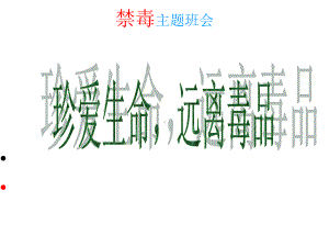 禁毒主题班会.ppt