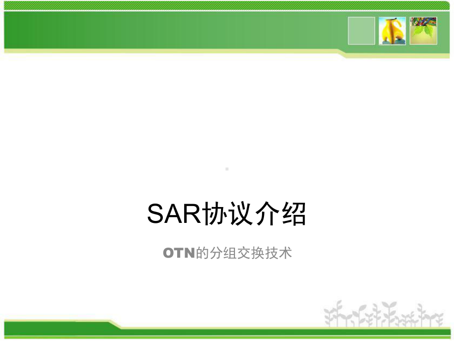 SAR协议介绍-OTN的分组交换技术-ppt课件.pptx_第1页