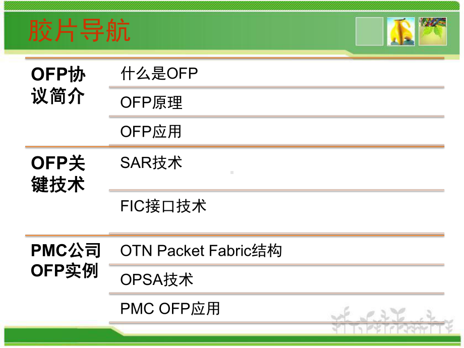 SAR协议介绍-OTN的分组交换技术-ppt课件.pptx_第2页