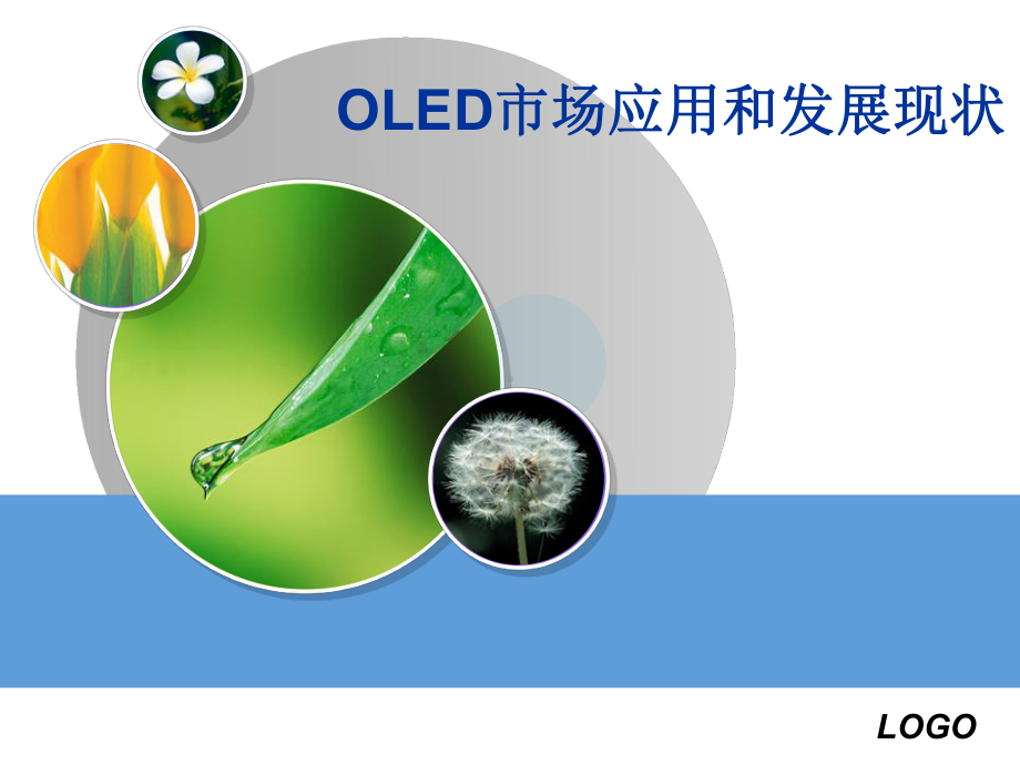 OLED市场应用及发展现状课件.ppt_第1页