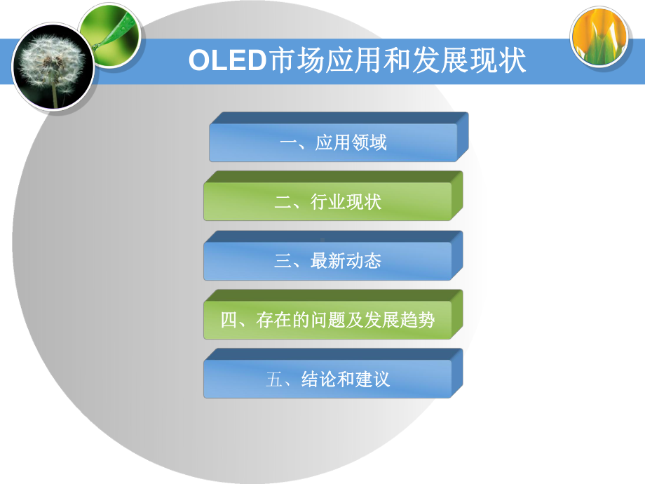 OLED市场应用及发展现状课件.ppt_第2页