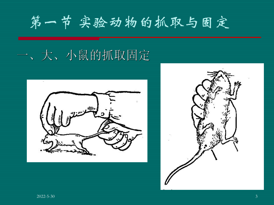 9.动物实验基本操作技术教材课件.ppt_第3页