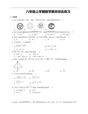 2021-2022学年人教版数学八年级上册期末综合练习.docx