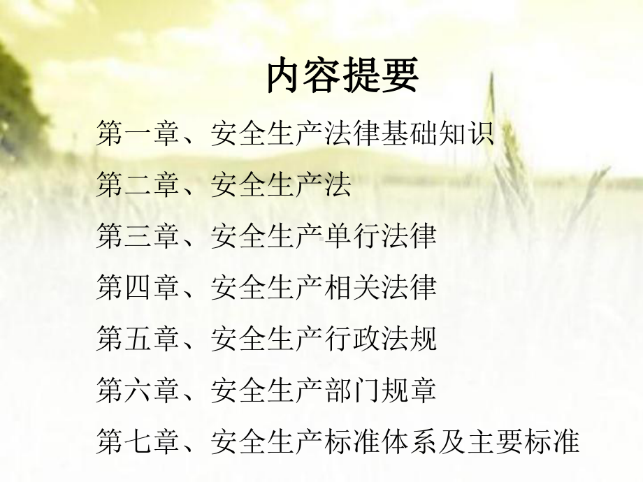 安全生产法律法规重点讲解(完整版)-PPT课件.ppt_第2页