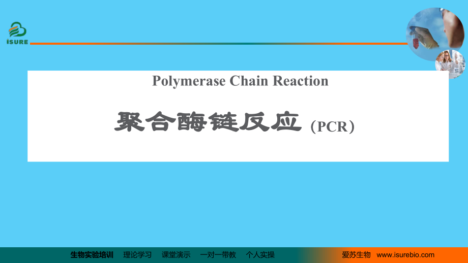 基因扩增技术(PCR)课件.ppt_第1页