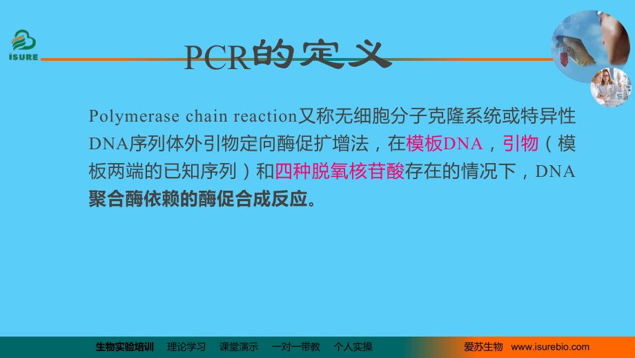 基因扩增技术(PCR)课件.ppt_第2页