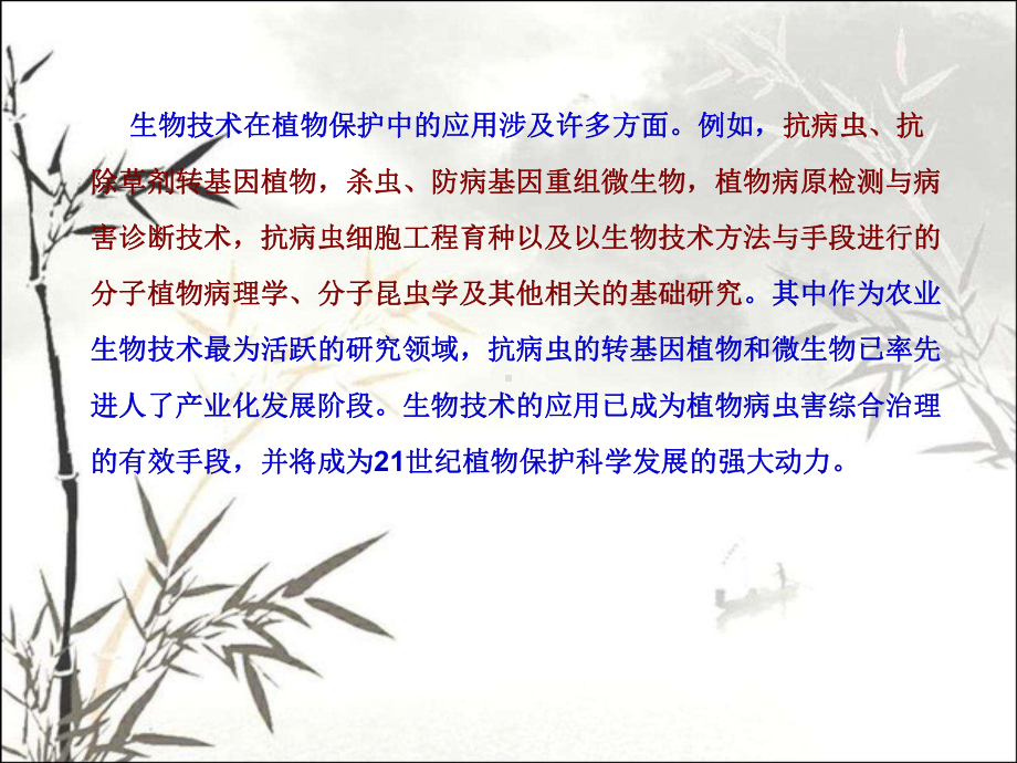 现代生物技术在植物保护中的应用-PPT课件.ppt_第2页