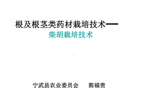 中药柴胡种植技术教材课件.ppt