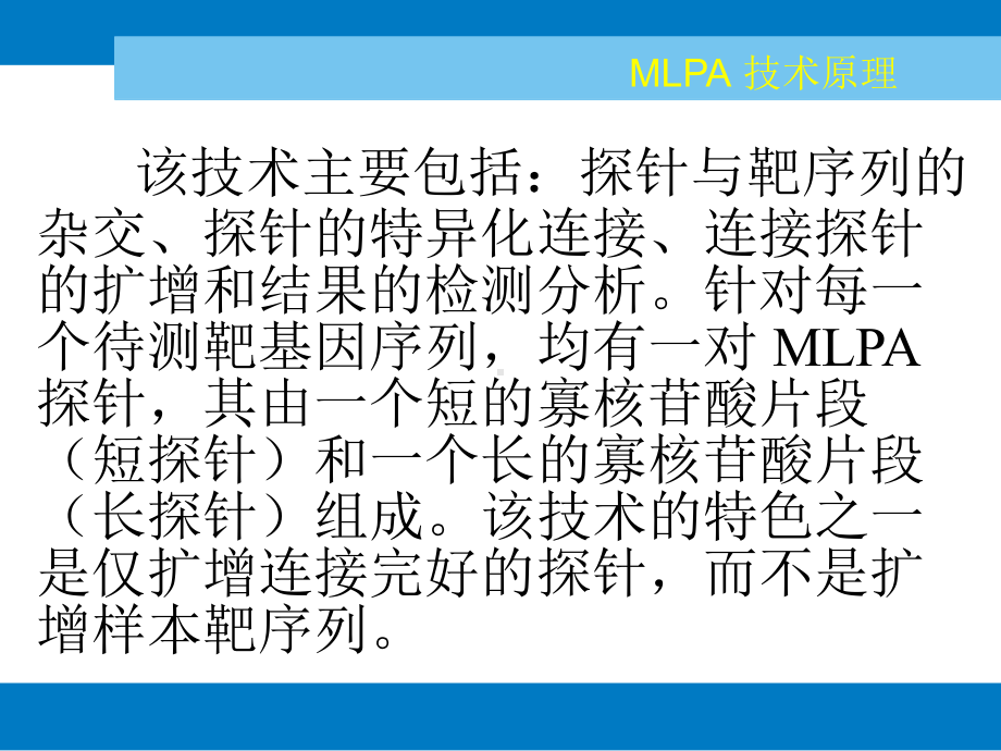 MLPA技术原理2解读课件.ppt_第3页