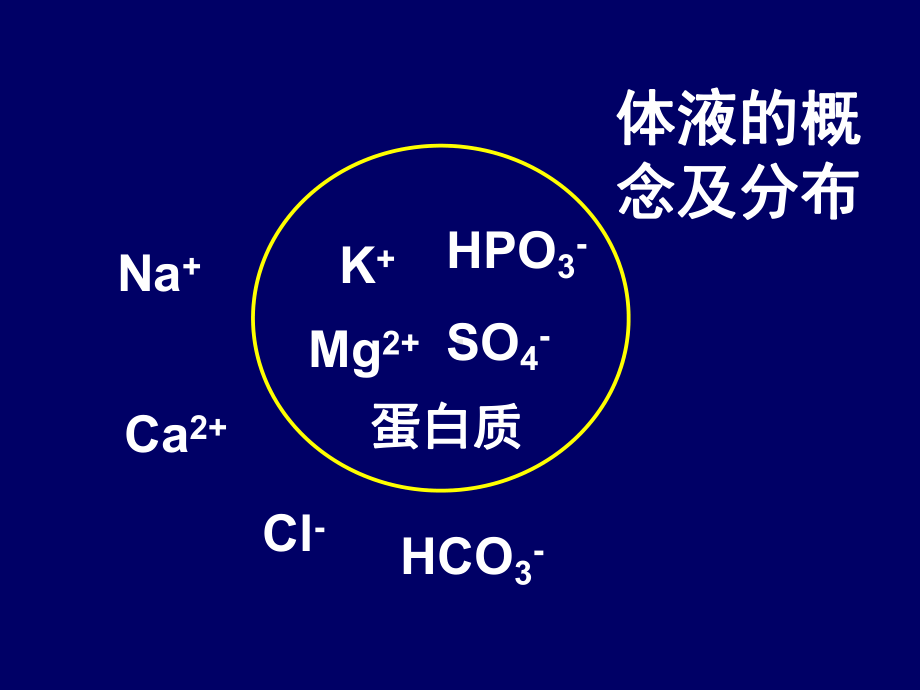 电解质和酸碱平衡调节药.课件.ppt_第2页