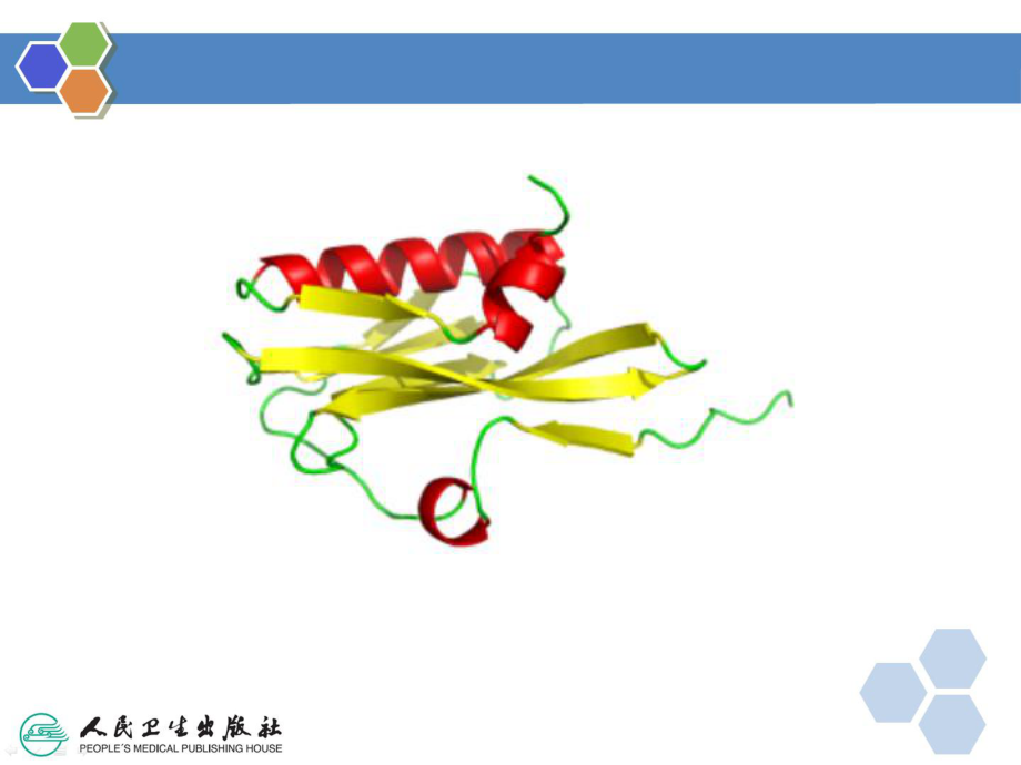 第十一章基于靶点结构的药物分子设计课件.ppt_第2页