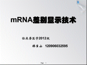 mRNA差异显示技术解读课件.ppt