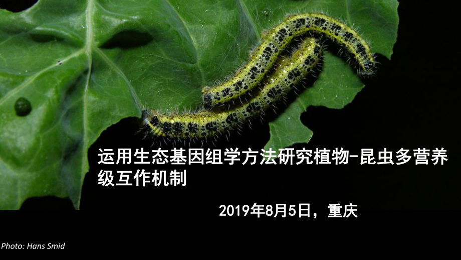 运用生态基因组学方法研究植物-昆虫多营养级互作机课件.pptx_第1页