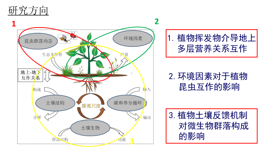 运用生态基因组学方法研究植物-昆虫多营养级互作机课件.pptx_第2页