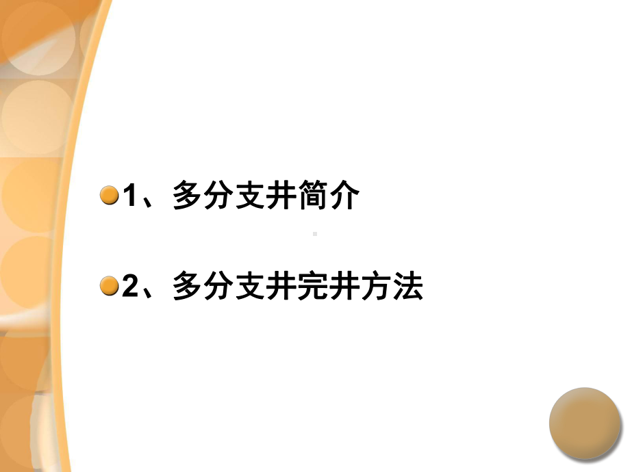 多分支井完井方法-吕抒桓.课件.ppt_第2页