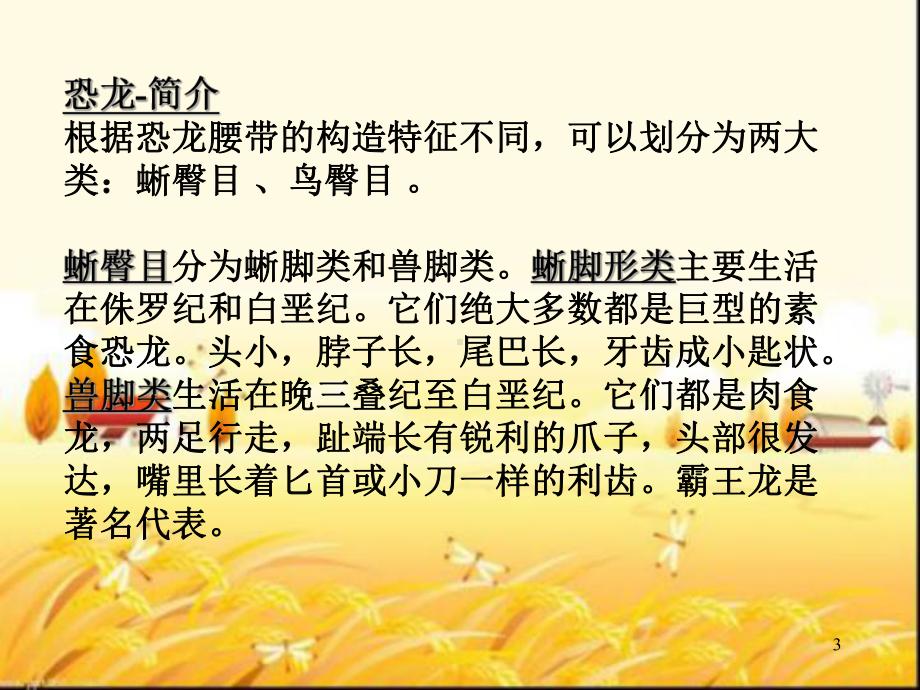 幼儿园大班科学教学：恐龙-PPT课件.ppt_第3页