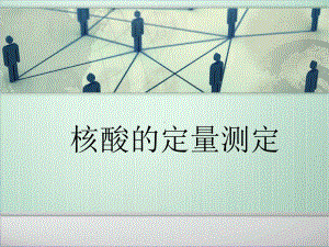 核酸的定量测定.课件.ppt