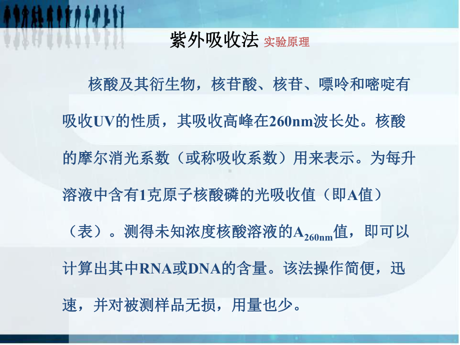 核酸的定量测定.课件.ppt_第3页