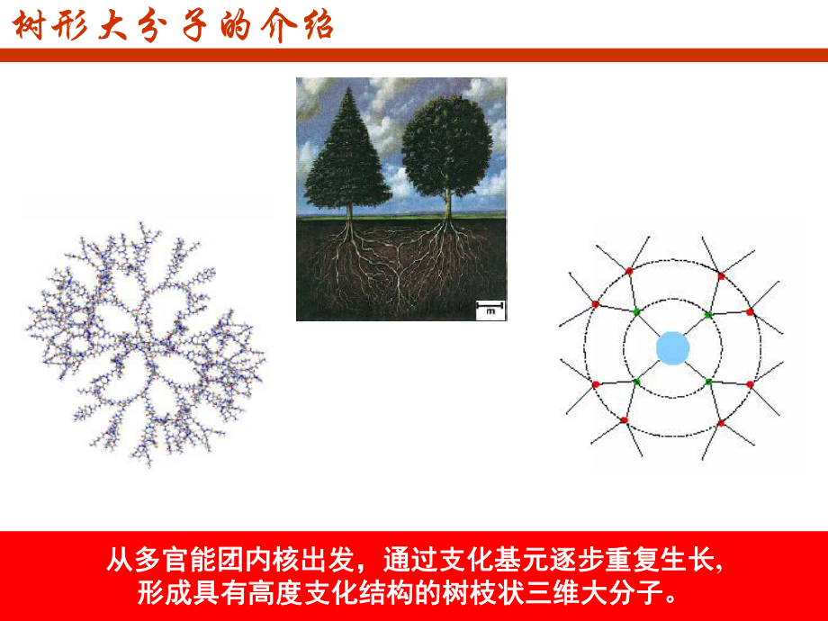 树形大分子的研究进展.课件.ppt_第2页