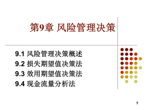 第9章-风险管理决策解析课件.ppt