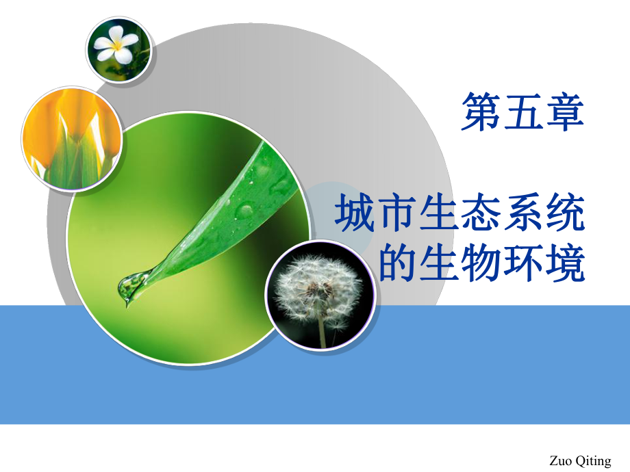 城市生态系统生物环境课件.ppt_第1页