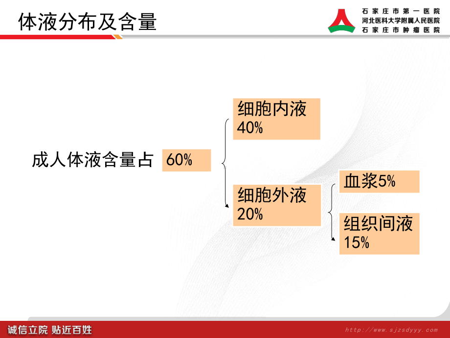 水电解质平衡.课件.ppt_第2页