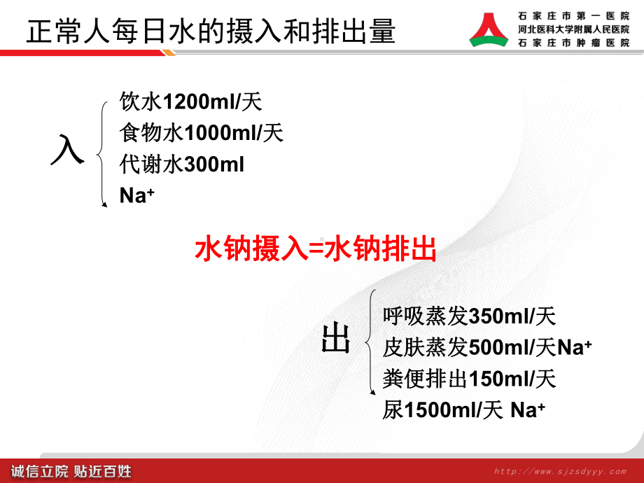 水电解质平衡.课件.ppt_第3页