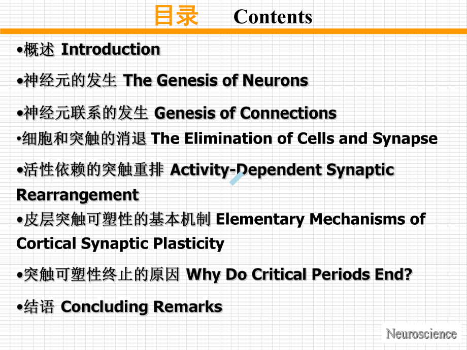 5神经元发生及突触形成课件.ppt_第3页