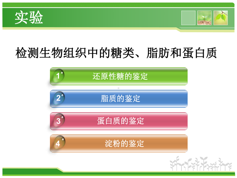 检测生物组织中的还原糖、脂肪和蛋白质.课件.ppt_第2页