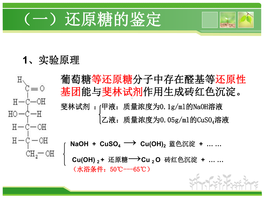 检测生物组织中的还原糖、脂肪和蛋白质.课件.ppt_第3页