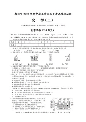 2022年湖南省永州市祁阳县浯溪第二中考化学模拟试题卷（二）.pdf