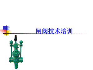 平板闸阀技术培训资料课件.ppt