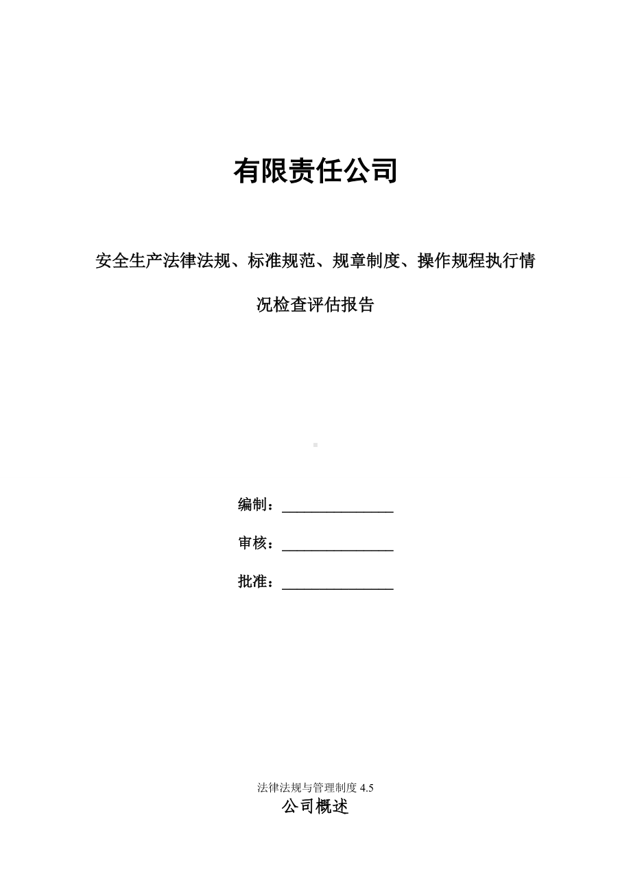 安全生产法律法规规章制度执行情况检查评估报告.doc_第1页