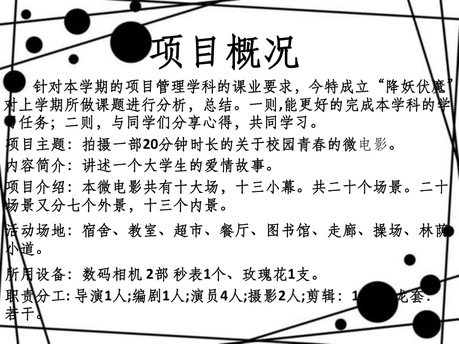 项目管理案例分析PPT课件.ppt_第3页