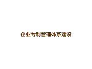 企业专利管理体系建设课件.ppt