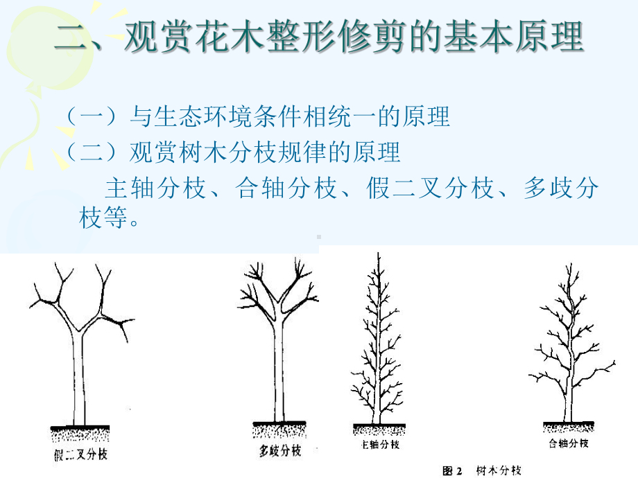 观赏植物整形修剪技术课件.pptx_第1页